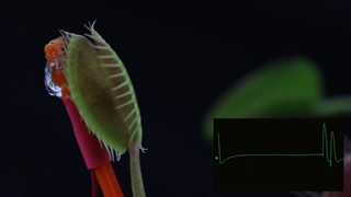 تیزر مستند "موج یا ذره؟"