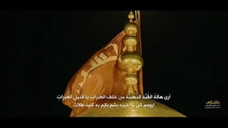 دلتنگی .محمد فصولی