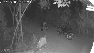 روحی که دمار از موتورسوار و ترکش درآورد