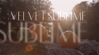 دولچه گابانا ولوت سابلایم - Velvet Sublime