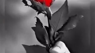 آهنگ غمگین - آهنگ عاشقانه - کلیپ عاشقانه