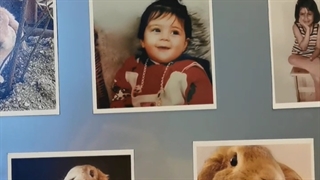 عکس مگنت یخچالی