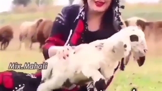 آهنگ غمگین . آهنگ عاشقانه . دو لب داری