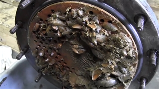 دیسکلر جهت رسوب زدایی