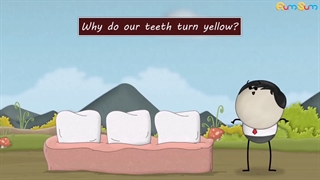 دکتر وحید دهقان: علت زردی دندان چیست؟