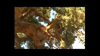مستند سیستان و بلوچستان