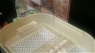 جوجه کشی موفق آقای یاری دستگاه جوجه کشی 12 تایی