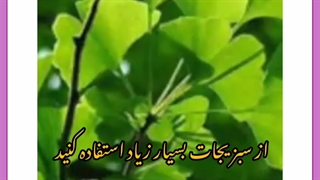 بایدها و نبایدهای بخور صورت