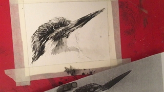 طراحی پرنده آبمرکب. قسمت پنجم