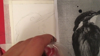 طراحی پرنده آبمرکب. قسمت دوم