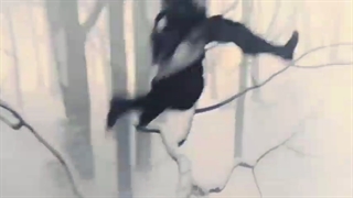 میکس خفن اساسین کرید