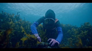 سریال Our Blues 2022قسمت 12زیرنویس اضافه شد