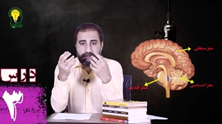 آموزش خلاقیت درس 3 دوره مقدماتی