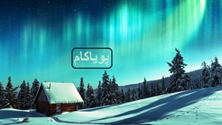 فنلاندی ها