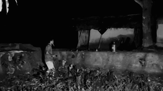 خدا نصیب نکنه این روح رو کسی ببینه غش می کنه