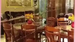 نمونه اجرای آینه های دکوراتیو در شهر دکوراسیون