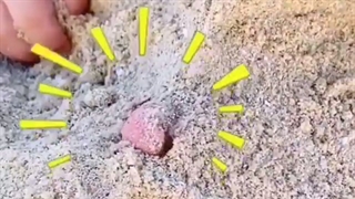 نمک