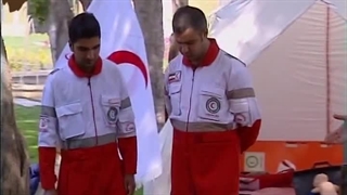 حمل با صندلی