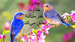 کلیپ شروع کلاس