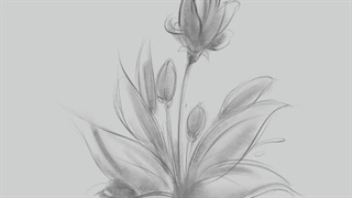 طراحی گل و بوته