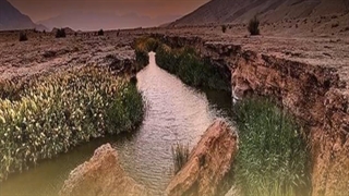 روزشمار | 22 خرداد 1401