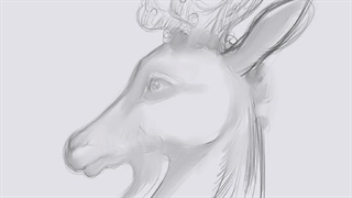 آموزش طراحی از سر گوزن