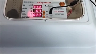 جوجه کشی موفق آقای دقیانوسی با ایزی باتور یک