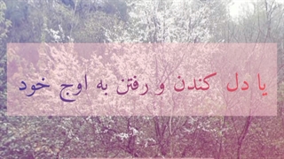 دل کندن . روژین روناسی