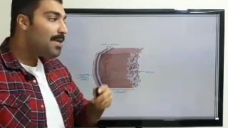 حمید رضا زارعی زیست