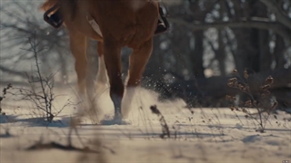 سریال آن شرلی ( anne wite an e ) فصل ۳ قسمت ۱ + زیرنویس