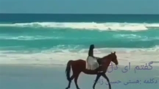 دکلمه جدید هستی حسین زاده