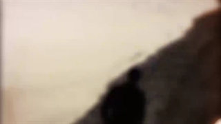 Instagram.com/ostad.shojae1