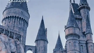 مکان هایی که دوست داریم فالو=فالو