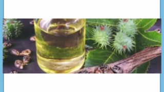 روغن کرچک چیست و چه خواصی برای پوست دارد؟