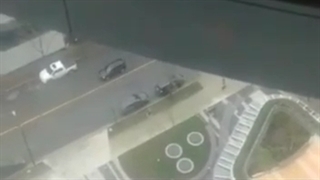 شنای شجاعت...