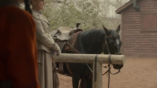 سریال آن شرلی ( anne wite an e ) فصل ۳ قسمت ۴ + زیرنویس