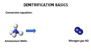 نیتریفیکاسیون و دنیتریفیکاسیون در تصفیه فاضلاب