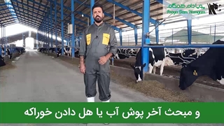 مدیریت خوراک دهی