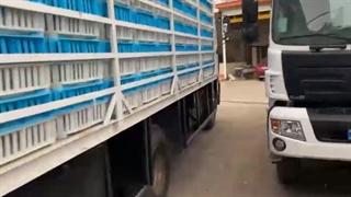 اتاق حمل مرغ زنده کامیون 10 تن