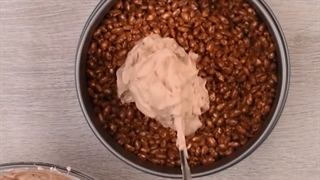 طرز تهیه چیز کیک پنیر خامه ای