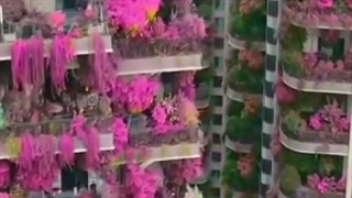 تفریح وسرگرمی