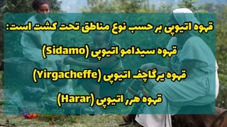 هدیه اتیوپی به دنیا قهوه اعتیادآور ترین نوشیدنی دنیا