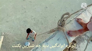 کارگر پروریش میگو گوتر بلوچستان