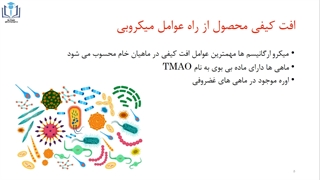بهداشت و صنایع محصولات شیلاتی