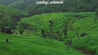 # برای برکت در زندگی ... برای شفا ... باین توصیه استاد عالی عمل کنیم ان شاالله