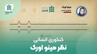 نظر خانم مینو اورک کنکوری انسانی درباره خدمات گروه مشاوره ای رابین