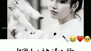 وقتی میگم طرف بی لیاقته یعنی...