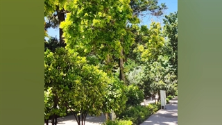 دیدنی های سفر شیرازم:)