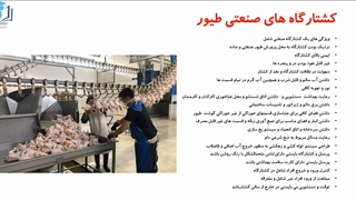 بهداشت کشتارگاهی طیور
