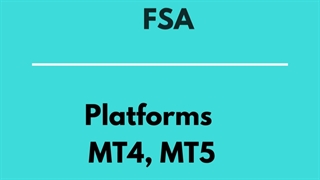 Top Wire Transfer Forex Broker In Malaysia - Live Forex Trading